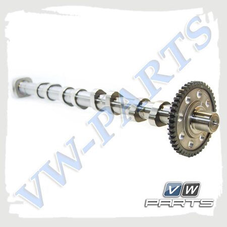 Распредвал выпускной VAG 06H109022BB
