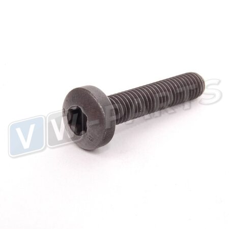 Саморез с внутренним TORX VAG N10156205