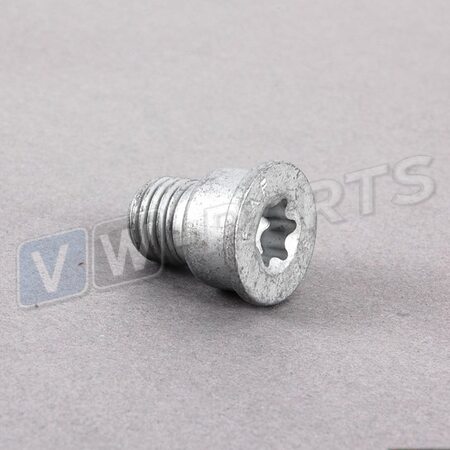 Болт с внутренним TORX VAG N91028202